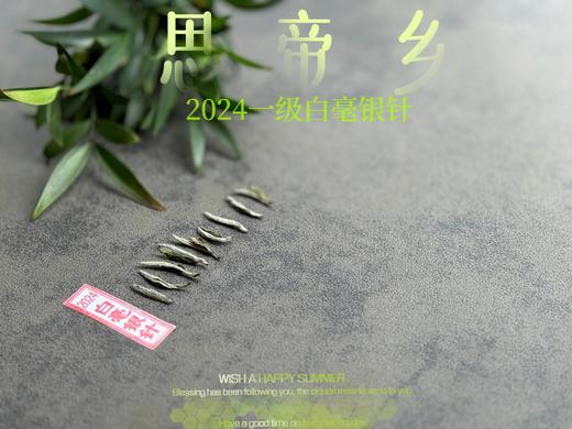 【2024春茶来了】2024白毫银针，连续3年的售罄之作，像是仙人酿出的花浆，那样香，那样甜 商品图3