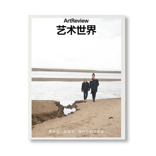 艺术世界 ArtReview China 2024年夏季刊 商品图0