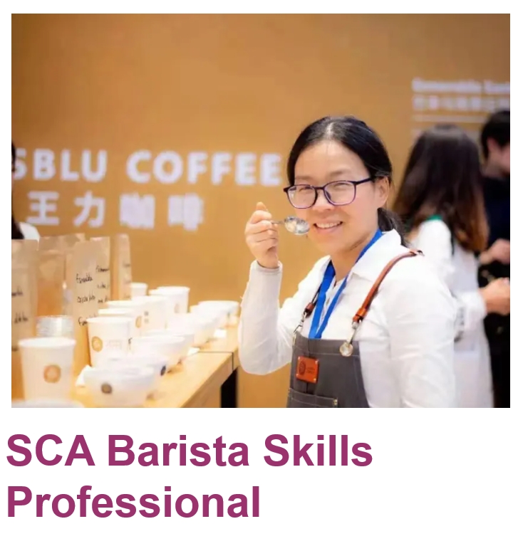 SCA咖啡师高级   Barista Pro 浓缩咖啡师高级 张凌 x 卢道强【含高级考证】