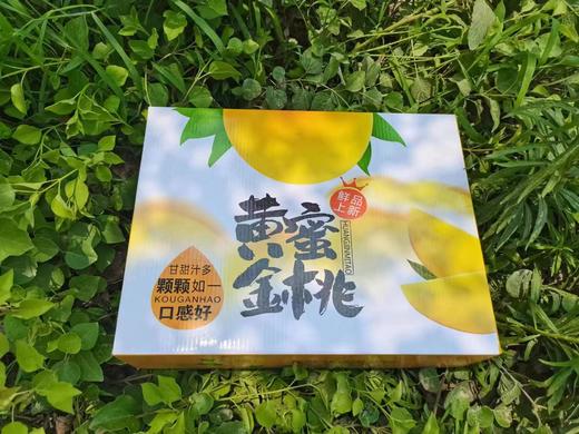 【山东·沂蒙】夏季爆款 蒙阴特产黄金黄油桃  新鲜当季黄金脆甜油桃 商品图7