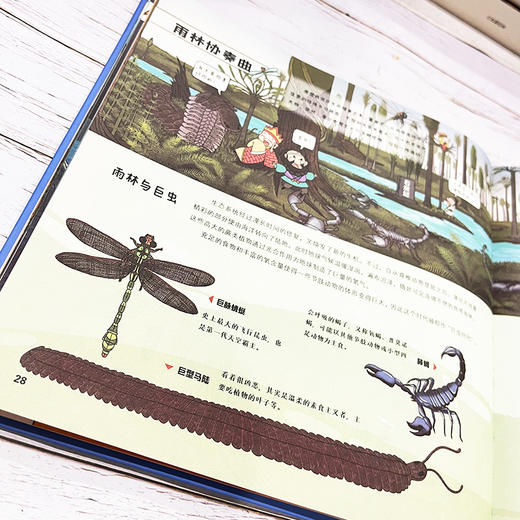 万物运转的秘密（全5册） 商品图5