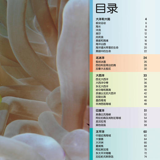 “DK透视眼百科”：《星空》 商品图7