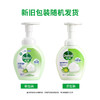 滴露泡沫抑菌洗手液青柠香型 250ml*3瓶 商品缩略图7