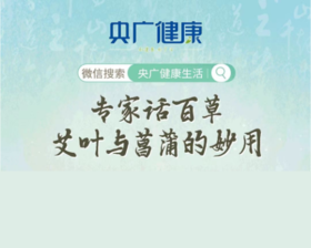 “专家话百草 艾叶与菖蒲的妙用”——《央广健康》直播笔记