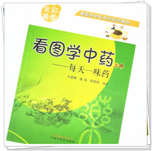 现货【出版社直销】看图学中药 每天一味药 上册 牛彦辉 杨扬 欧阳斌 主编 中国中医药出版社 全彩插图 看图学中医中药系列教材 商品图4