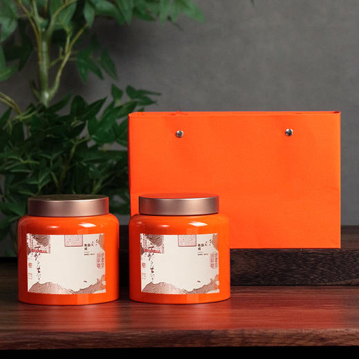 YP-601矮罐套装【橙色·烤漆罐】35一套/一件18套 商品图0