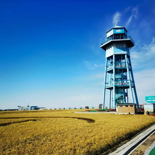漫游黑龙江东极，观日出东方，赏北国大地好风光！ 商品图8