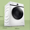 【家电焕新季】TCL10公斤大容量 微蒸汽空气洗 蒸汽除菌 热力除菌 变频洗烘一体滚筒洗衣机 TG-V100HBA芭蕾白 商品缩略图1