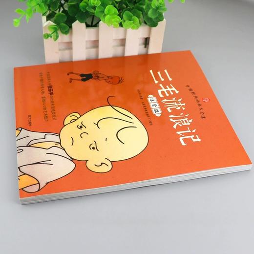 三毛流浪记中国经典动画大全集正版彩图注音版三毛作品张乐平著 商品图1