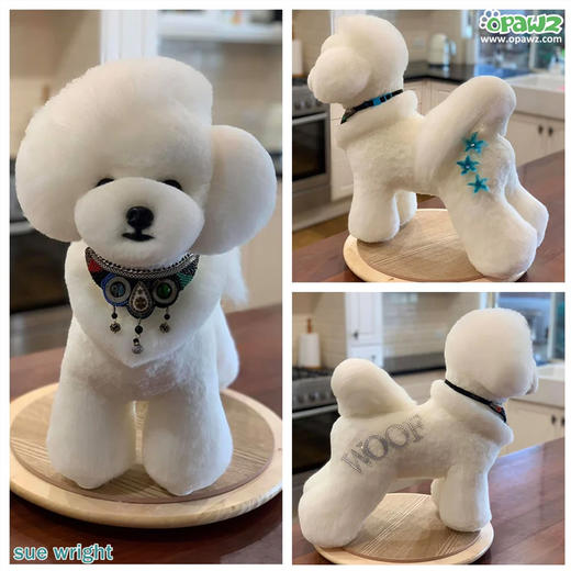 日常比熊头毛 OPAWZ小爪印 商品图0