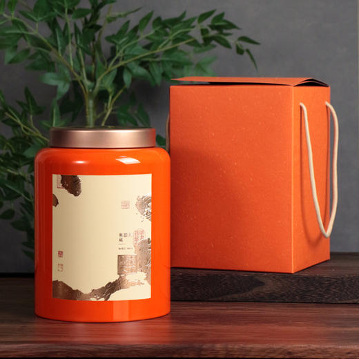 YP-603高罐 超大单罐一提  配卡盒【橙色·烤漆罐】55一套/一件8套 商品图1