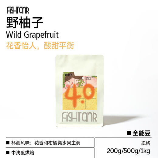 野柚子4.0  浅烘意式拼配咖啡豆 商品图0