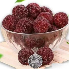 东魁杨梅(450±20g）