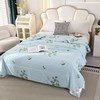 618大促→雅鹿艾草夏凉被双人被200*230cm空调被可机洗 商品缩略图2