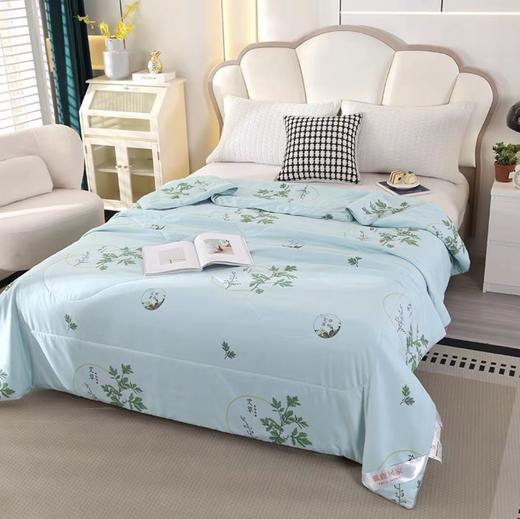 618大促→雅鹿艾草夏凉被双人被200*230cm空调被可机洗 商品图2