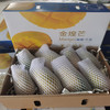 【分仓直发包邮】海南金煌芒礼盒装4.5-5斤/约8斤 商品缩略图0
