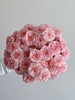情迷罗拉多头玫瑰【恰到好处的不经意，是我蓄谋已久的偶然】简小姐精选 稀有粉白渐变多头 情迷罗拉10枝多头2件顺丰冷链包邮 下单5天内发货 商品缩略图1