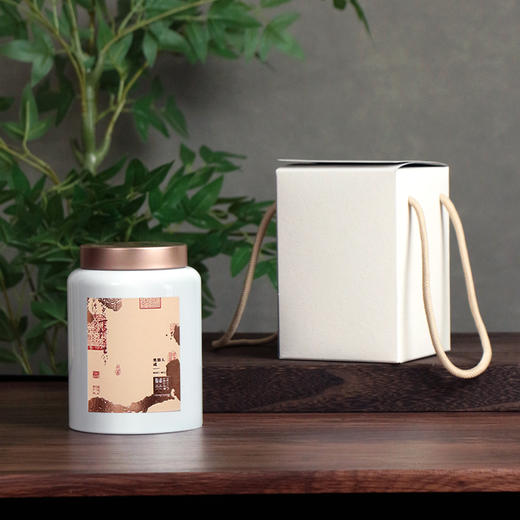 YP-601高罐 单罐一提  配卡盒【白色·烤漆罐】25一套/一件24套 商品图1