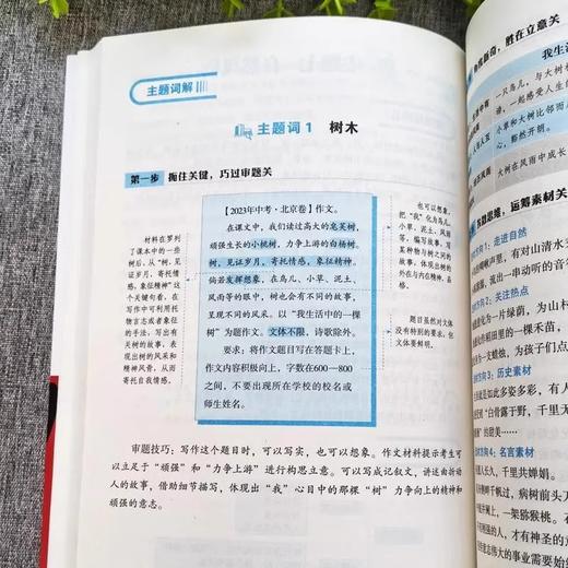 2024版 中考作文必看必练必刷 初中生中考满分作文2024优秀作文范围讲解书 初中作文素材教学写作技巧专项训练书高分指南写作书籍 商品图4