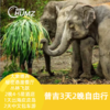 【泰国普吉】3天2晚包车游|大象丛林保护营喂养大象-秘密悬崖餐厅-神仙半岛|出海皮皮岛|丛林飞跃-山顶大佛|含2晚网评4星酒店 商品缩略图0