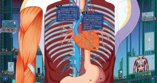 《人体工程师：立体书》 商品图5