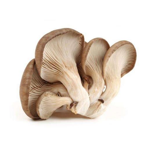 鲜蘑(400±30g)平菇 蘑菇 商品图0