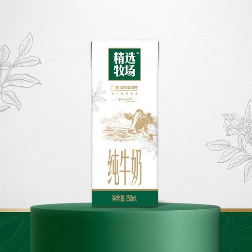 蒙牛250ml×12精选牧场全脂灭菌纯牛奶 商品图1
