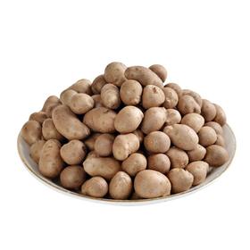 山药蛋（500±50g）