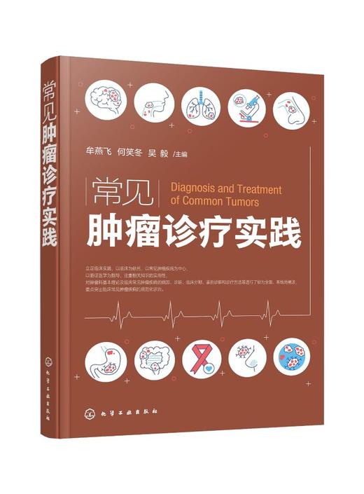 常见肿瘤诊疗实践 商品图0