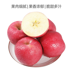 甘肃静宁苹果（700±50g）