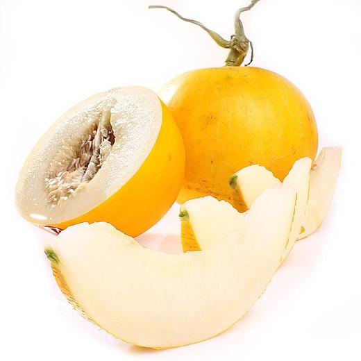 久红瑞瓜(1900±100g)多退少补甜瓜香瓜 商品图0