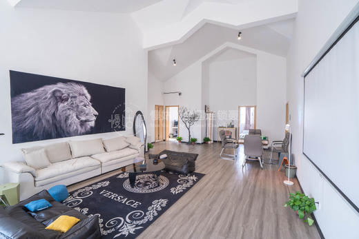 徐州慢姑娘瑞来科思 商品图10