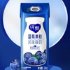 蒙牛200g纯甄蓝莓果粒风味酸奶*10 商品缩略图2