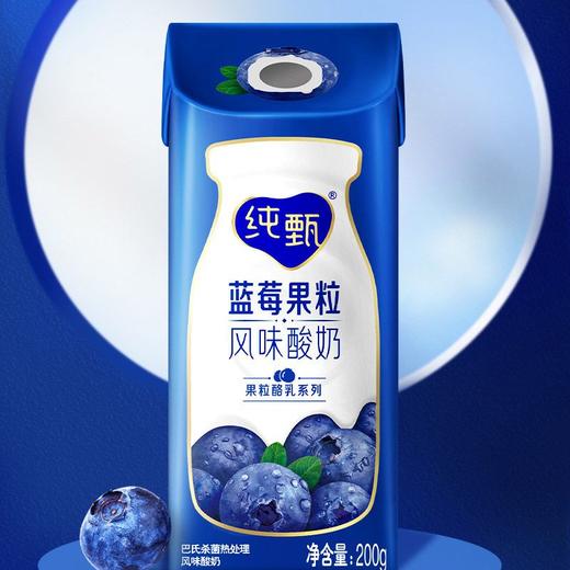 蒙牛200g纯甄蓝莓果粒风味酸奶*10 商品图2