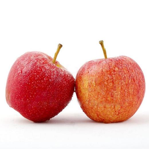 新西兰加力果（个） 商品图0