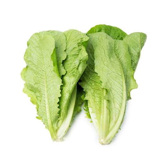 罗马生菜(400±30g) 商品图0