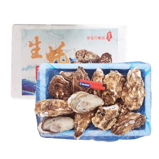 乳山生蚝（件) 约3斤 商品图0