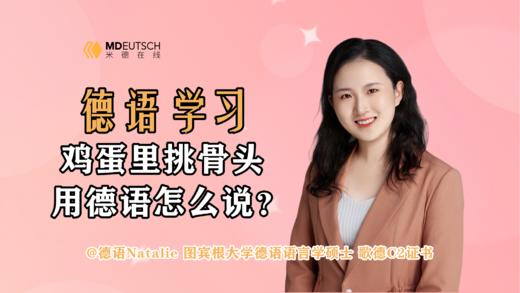 鸡蛋里挑骨头用德语怎么说 商品图0