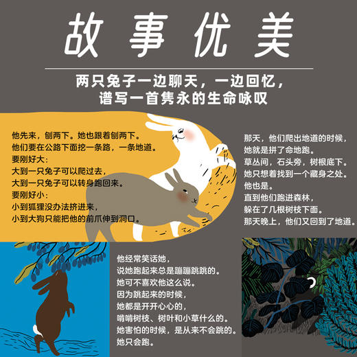 【精装硬壳】《地道》 小兔子挖地道 2-3-6岁 儿童绘本故事书 绘本国外获奖 经典 幼儿园宝宝 儿童图书正版人与自然生命的奇迹逃家小兔 商品图3