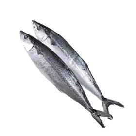 QY冻燕鱼小（500±50g)