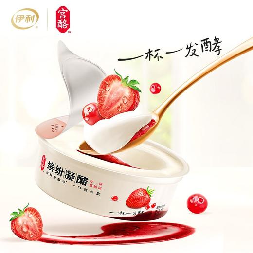 TD伊利220g宫酪草莓蔓越莓风味酸乳（青龙 商品图3