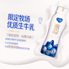 TD蒙牛230g纯甄蓝莓风味酸奶 商品缩略图1