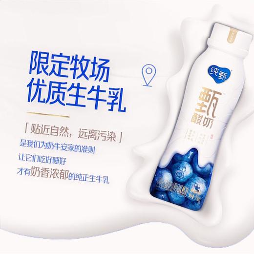 TD蒙牛230g纯甄蓝莓风味酸奶 商品图1