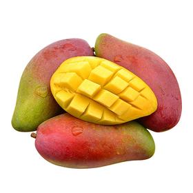 红澳芒（600±50g）