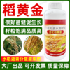 湖南华垦正品稻黄金水稻专用叶面肥促返青孕穗灌浆肥丰产增收肥 商品缩略图4
