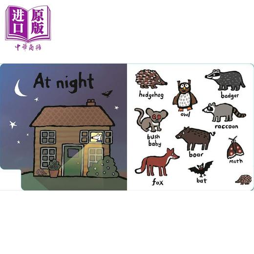 【中商原版】跟着小鼠波波学单词5册 Maisy First Words 学龄前低幼儿童早教英语启蒙绘本 纸板书 1岁以上 英文原版进口 商品图4