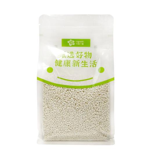 江米(约650g) 商品图0