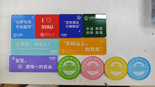 沈农冰箱贴亚克力软磁吸装饰 商品图1