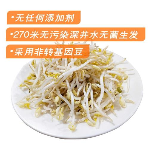 广缘笨豆芽(450±30g) 商品图0