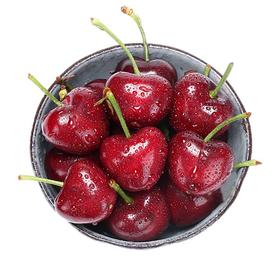 大连砂蜜豆（500±50g）